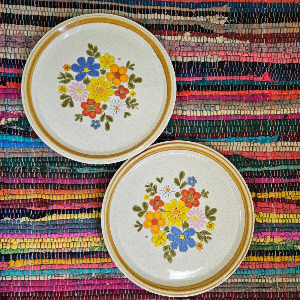 Vintage Mikasa Stone Manor Floribunda 2pc Dinner Plate Set 70s Floral MCM